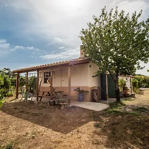 Casa vacanze Un' Ottima Annata - La Casa Nel Vigneto, Monte Porzio Catone
